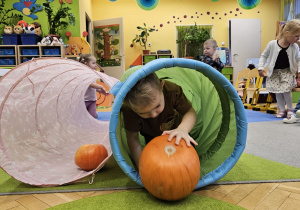 Projekt „Sensoryczna jesień” w grupie I maluszków