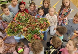 Projekt „Jesienne tajemnice przyrody” w gr. IV