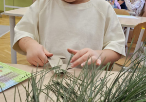 Projekt „Jesienne tajemnice przyrody” w gr. IV