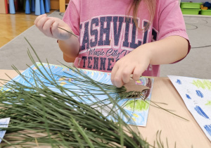 Projekt „Jesienne tajemnice przyrody” w gr. IV