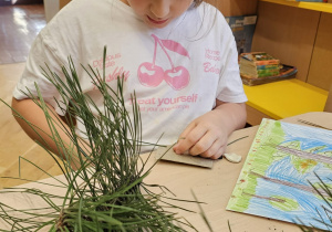 Projekt „Jesienne tajemnice przyrody” w gr. IV