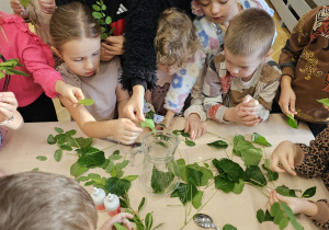 Projekt „Jesienne tajemnice przyrody” w gr. IV