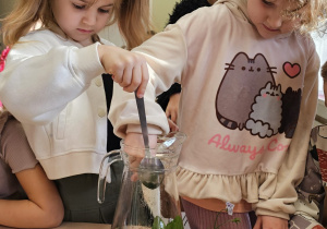 Projekt „Jesienne tajemnice przyrody” w gr. IV