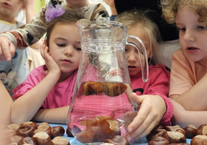 Projekt „Jesienne tajemnice przyrody” w gr. IV