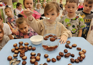 Projekt „Jesienne tajemnice przyrody” w gr. IV