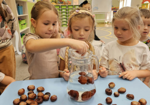 Projekt „Jesienne tajemnice przyrody” w gr. IV