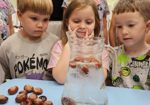 Projekt „Jesienne tajemnice przyrody” w gr. IV