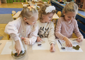 Projekt „Jesienne tajemnice przyrody” w gr. IV