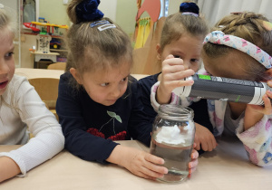 Projekt „Jesienne tajemnice przyrody” w gr. IV