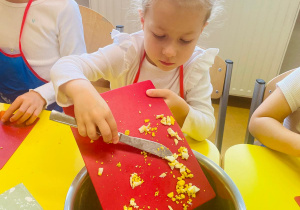 "Smaki jesieni" - projekt edukacyjny w gr. XI