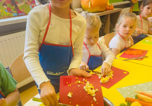 "Smaki jesieni" - projekt edukacyjny w gr. XI