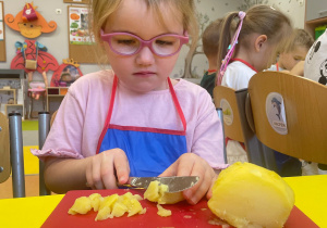 "Smaki jesieni" - projekt edukacyjny w gr. XI