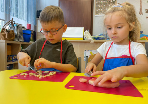 "Smaki jesieni" - projekt edukacyjny w gr. XI