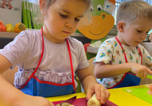 "Smaki jesieni" - projekt edukacyjny w gr. XI