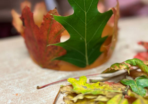 "Jesienna paleta barw"- projekt edukacyjny w grupie VI