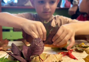 "Jesienna paleta barw"- projekt edukacyjny w grupie VI