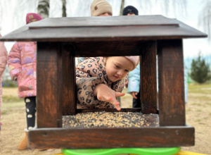 Projekt "Poznajemy ptaki zimą" - działania grupy III