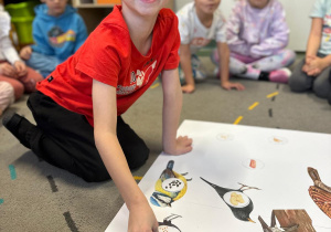 Projekt "Poznajemy ptaki zimą"