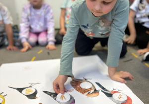 Projekt "Poznajemy ptaki zimą"