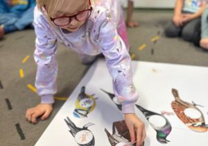 Projekt "Poznajemy ptaki zimą"