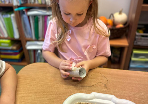 Projekt "Poznajemy ptaki zimą"