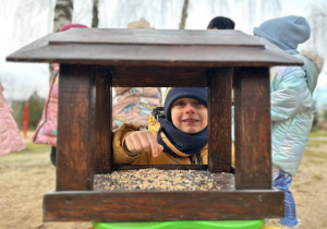 Projekt "Poznajemy ptaki zimą"