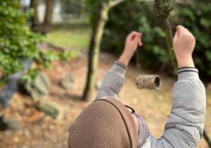 Projekt "Poznajemy ptaki zimą"