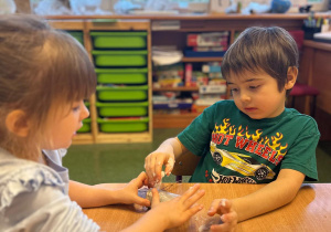 Projekt "Poznajemy ptaki zimą"