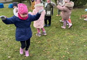 Projekt "Poznajemy ptaki zimą"