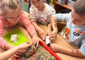 Projekt "Poznajemy ptaki zimą"