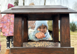 Projekt "Poznajemy ptaki zimą"