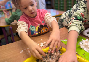 Projekt "Poznajemy ptaki zimą"