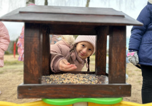 Projekt "Poznajemy ptaki zimą"