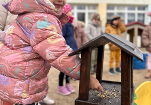 Projekt "Poznajemy ptaki zimą"