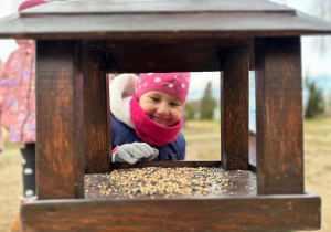 Projekt "Poznajemy ptaki zimą"