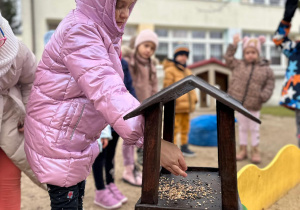 Projekt "Poznajemy ptaki zimą"