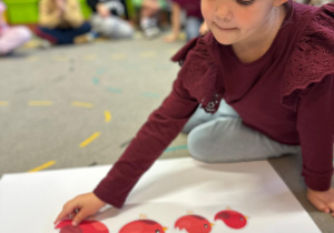 Projekt "Poznajemy ptaki zimą"