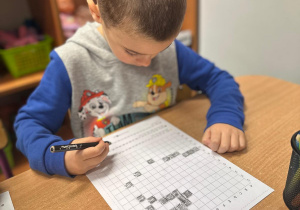 Projekt "Poznajemy ptaki zimą"