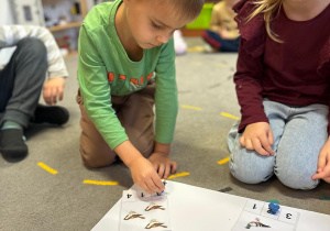 Projekt "Poznajemy ptaki zimą"