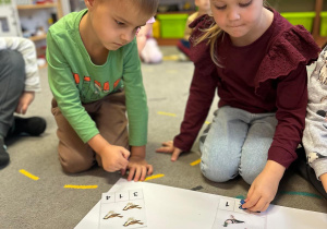 Projekt "Poznajemy ptaki zimą"