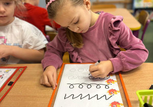 Projekt "Poznajemy ptaki zimą"