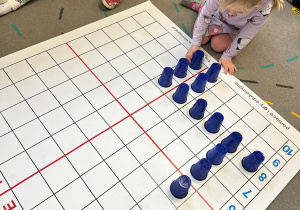 Projekt "Poznajemy ptaki zimą"