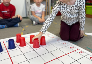 Projekt "Poznajemy ptaki zimą"