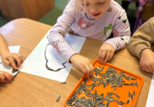 Projekt "Poznajemy ptaki zimą"