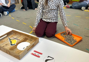 Projekt "Poznajemy ptaki zimą"