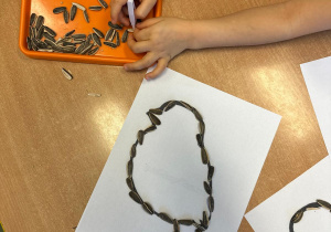 Projekt "Poznajemy ptaki zimą"