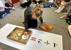 Projekt "Poznajemy ptaki zimą"