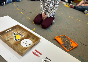 Projekt "Poznajemy ptaki zimą"