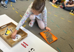 Projekt "Poznajemy ptaki zimą"