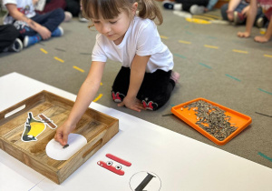 Projekt "Poznajemy ptaki zimą"